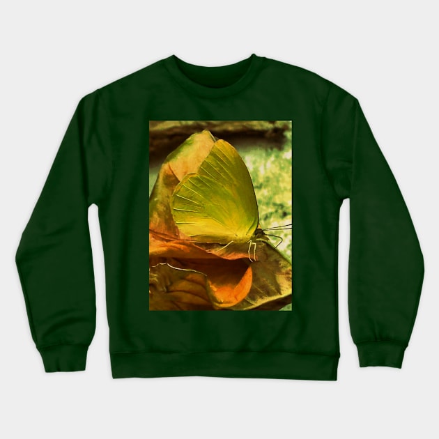 Yellow Butterfly Impressionism Crewneck Sweatshirt by City1221